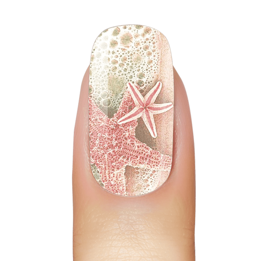 Sandbar Stars